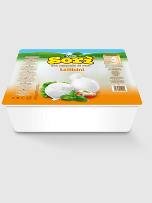 Mozzarella Fior di Latte 6x500g