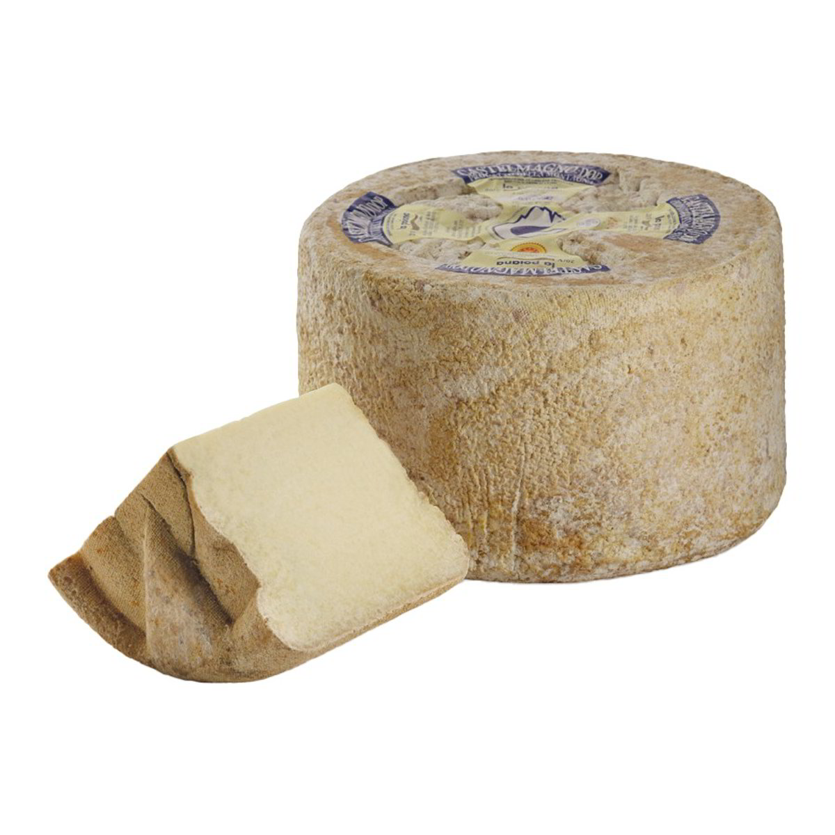 Castelmagno 1/4 lait cru