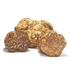 Truffe blanchâtre fraîche Tuber Albidum Pico