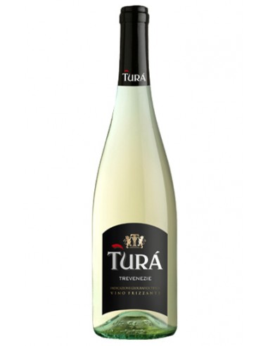 Blanc Trevenezie IGT 75cl