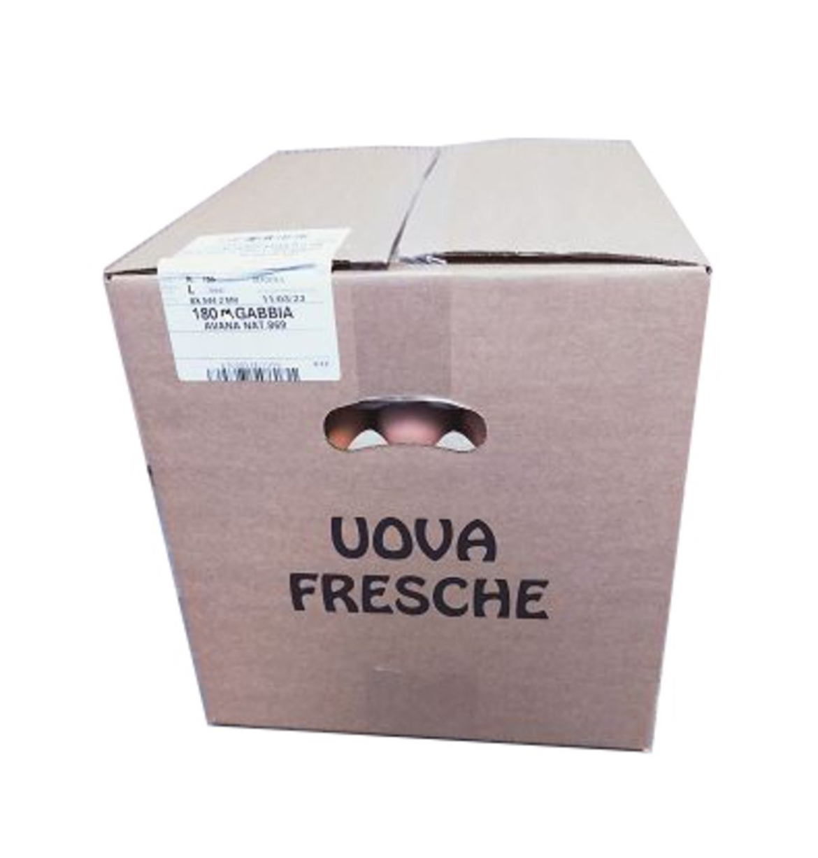 Oeufs frais moyens origine Italie catégorie A 53g/63g x 180