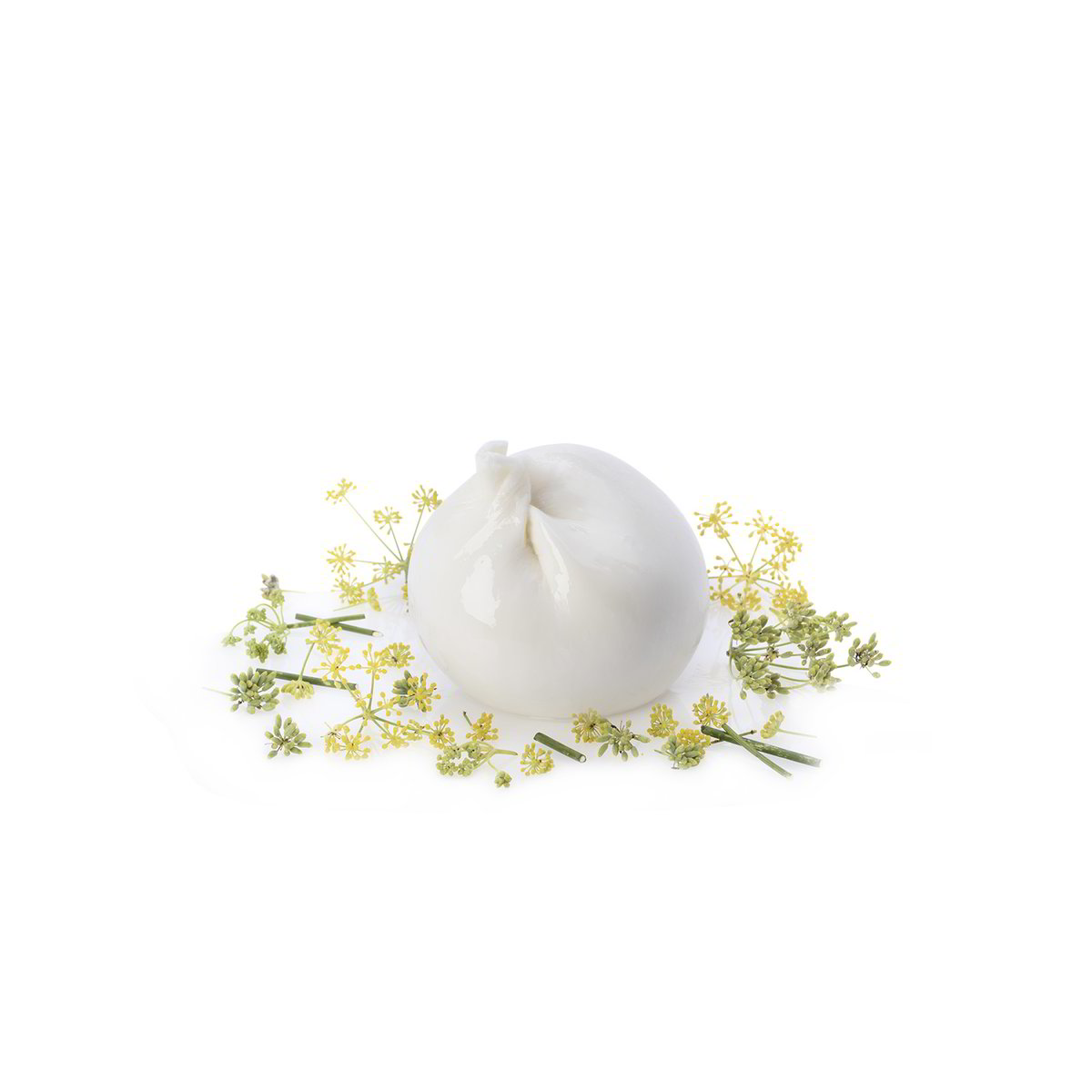 Burrata lait de vache pot individuel 8x250g 