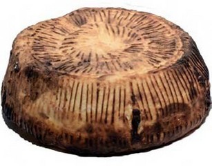 Ricotta au four à râper 1.5 kg